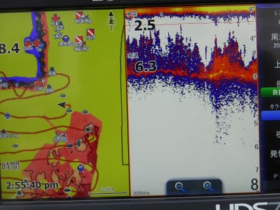 truth news ブログ写真 2015/01/12