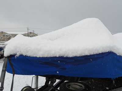 truth news ブログ写真 2015/02/01