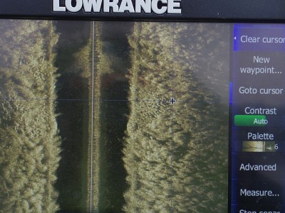 truth news ブログ写真 2015/02/01