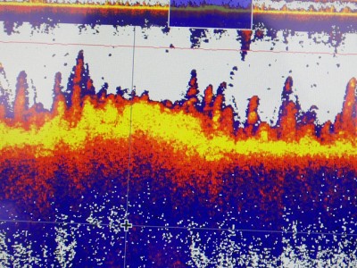 truth news ブログ写真 2015/02/01