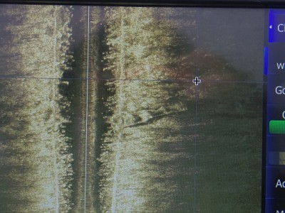 truth news ブログ写真 2015/02/01