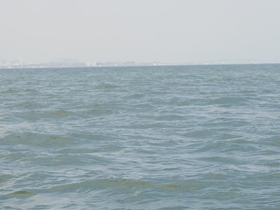 truth news ブログ写真 2015/02/12