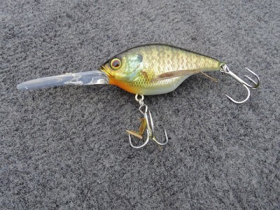 truth news ブログ写真 2015/02/17