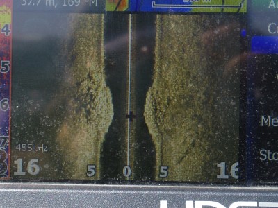 truth news ブログ写真 2015/02/17