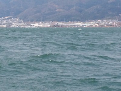 truth news ブログ写真 2015/03/04