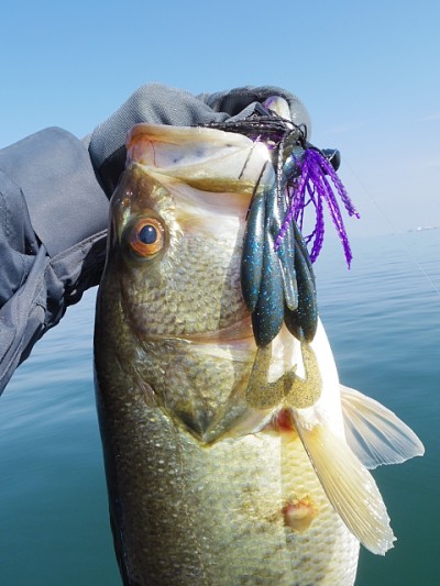 truth news ブログ写真 2015/03/06