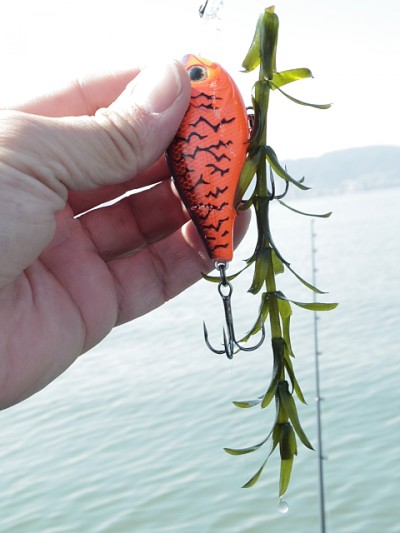 truth news ブログ写真 2015/03/06