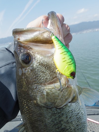 truth news ブログ写真 2015/03/06