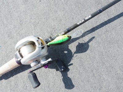 truth news ブログ写真 2015/03/06