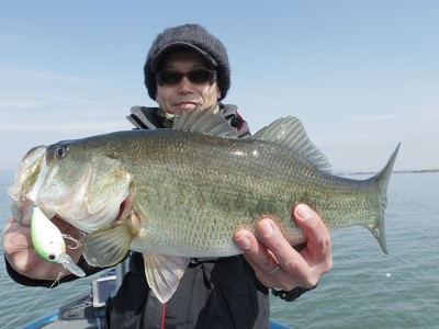 truth news ブログ写真 2015/03/06