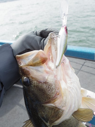 truth news ブログ写真 2015/03/06