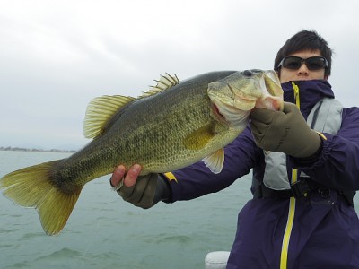 truth truth_news ブログ写真 2015/03/07