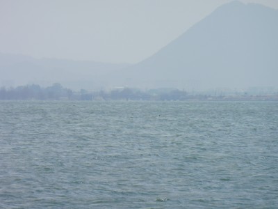 truth truth_news ブログ写真 2015/03/12