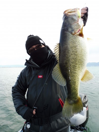 truth truth_news ブログ写真 2015/03/12