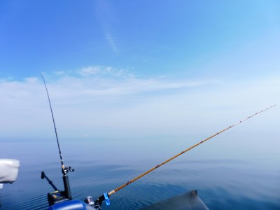 truth truth_news ブログ写真 2015/03/16