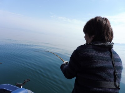 truth truth_news ブログ写真 2015/03/16