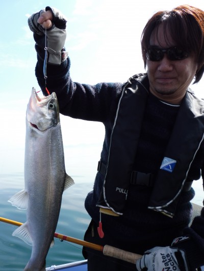 truth truth_news ブログ写真 2015/03/16