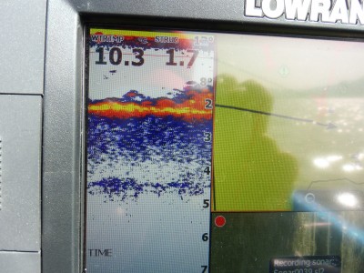 truth truth_news ブログ写真 2015/03/17