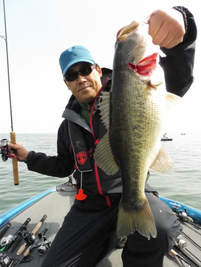 truth truth_news ブログ写真 2015/03/21