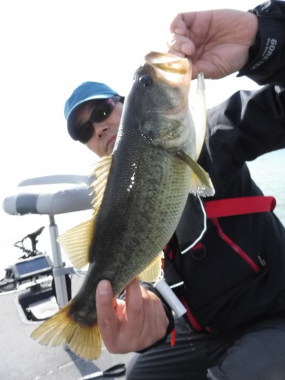 truth truth_news ブログ写真 2015/03/21