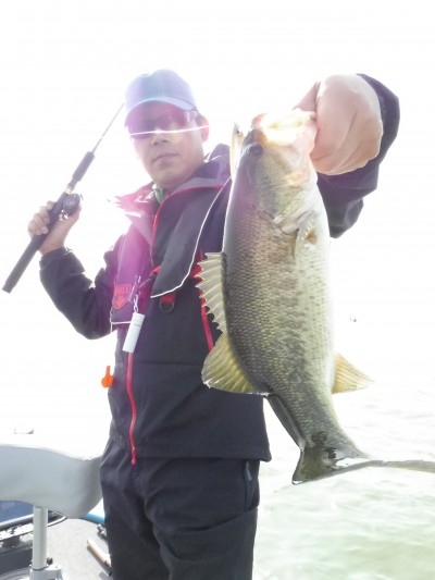 truth truth_news ブログ写真 2015/03/21