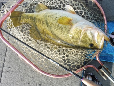 truth truth_news ブログ写真 2015/03/24