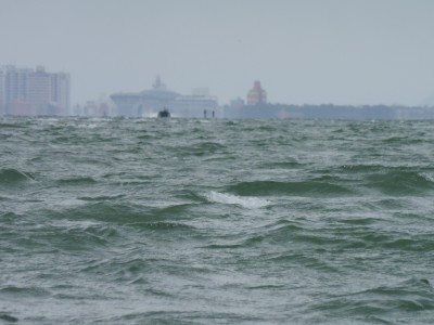 truth truth_news ブログ写真 2015/03/25