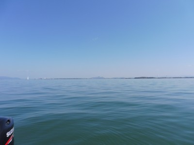 truth truth_news ブログ写真 2015/03/26