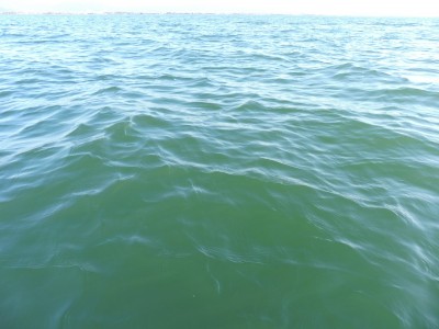 truth truth_news ブログ写真 2015/03/26