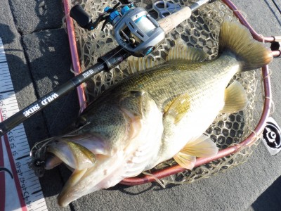 truth truth_news ブログ写真 2015/03/27