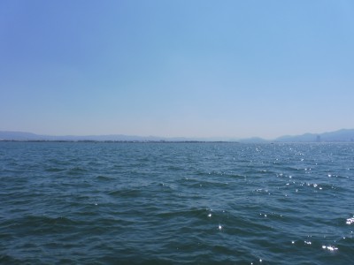 truth truth_news ブログ写真 2015/03/28