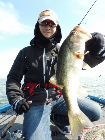 truth truth_news ブログ写真 2015/03/28