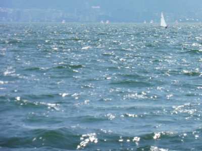 truth truth_news ブログ写真 2015/03/28