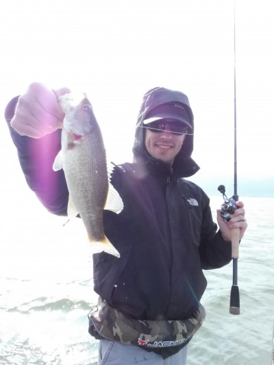 truth truth_news ブログ写真 2015/04/02