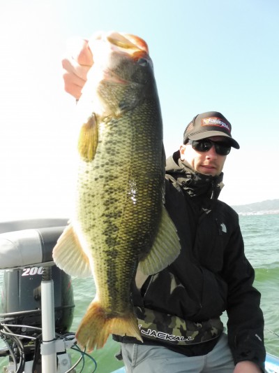 truth truth_news ブログ写真 2015/04/02