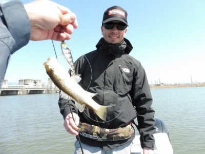 truth truth_news ブログ写真 2015/04/02