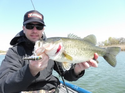 truth truth_news ブログ写真 2015/04/02