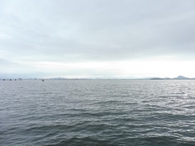 truth truth_news ブログ写真 2015/04/03