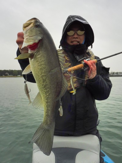 truth truth_news ブログ写真 2015/04/03