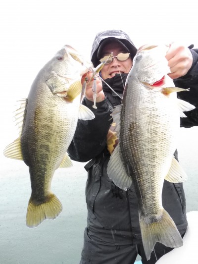 truth truth_news ブログ写真 2015/04/03