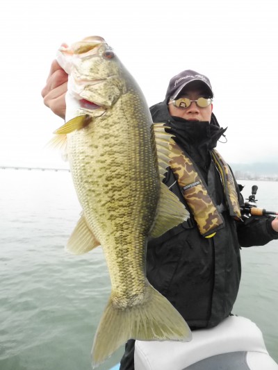 truth truth_news ブログ写真 2015/04/03