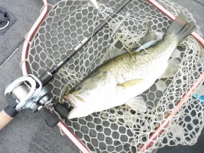 truth truth_news ブログ写真 2015/04/06