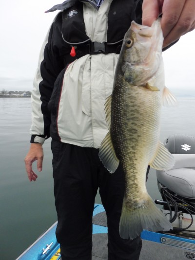 truth truth_news ブログ写真 2015/04/06