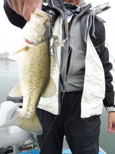 truth truth_news ブログ写真 2015/04/06