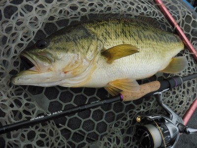 truth truth_news ブログ写真 2015/04/06