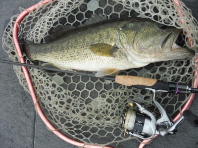 truth truth_news ブログ写真 2015/04/06