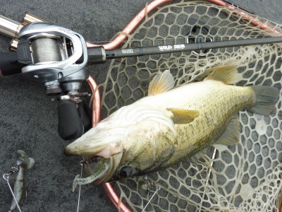 truth truth_news ブログ写真 2015/04/06