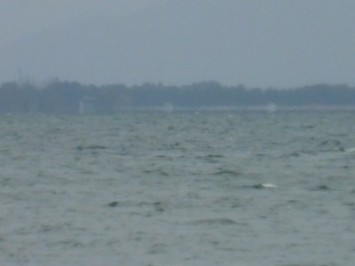 truth truth_news ブログ写真 2015/04/07