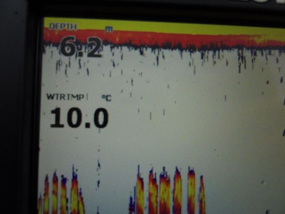 truth truth_news ブログ写真 2015/04/07