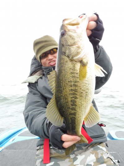 truth truth_news ブログ写真 2015/04/07